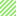Bold-Pattern-Green